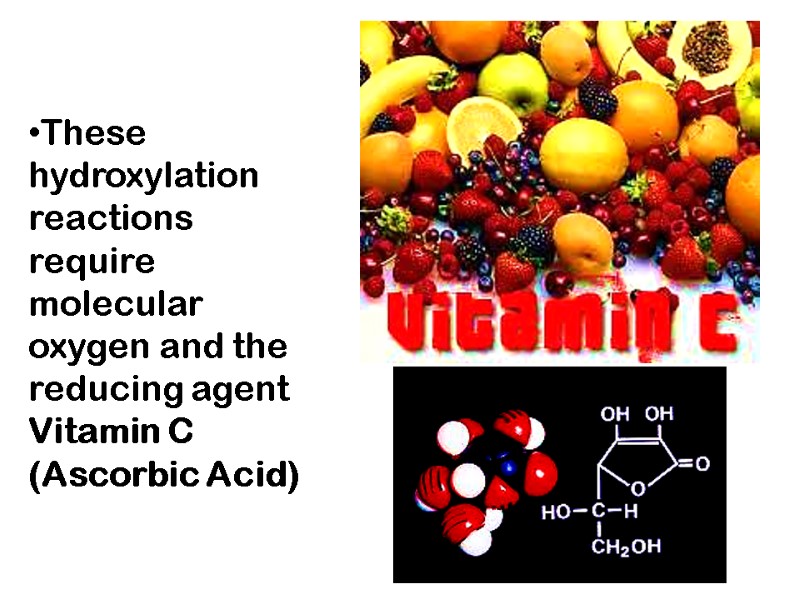 These hydroxylation reactions require molecular oxygen and the reducing agent Vitamin C (Ascorbic Acid)